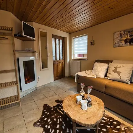 Les Chouchous Du Ried 3 / Proche Europapark Apartament *