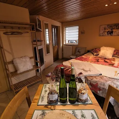 Les Chouchous Du Ried 3 / Proche Europapark Apartment *