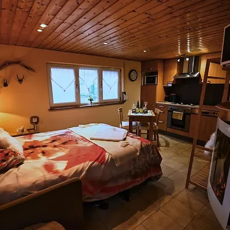 Apartament Les Chouchous Du Ried 3 / Proche Europapark Saasenheim